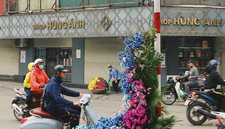 hang-loat-cot-den-ha-noi-no-hoa-chao-mung-quoc-te-phu-nu